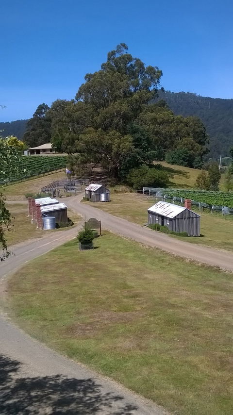 Hartzview Vineyard Cafe - Surfers Gold Coast 6