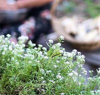 Pascoe Vale RSL - Surfers Gold Coast