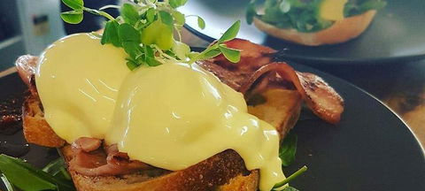 Blue Jay Cafe - Surfers Gold Coast 1