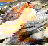 The Peak - Surfers Gold Coast