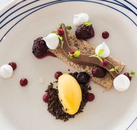 Wild Herring - Surfers Gold Coast