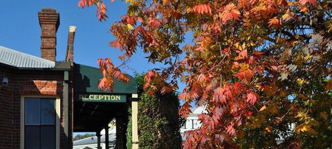 Phoebe's @ Ten Dollar Town Motel - Surfers Gold Coast 1