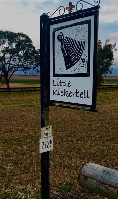 Little Kickerbell - Surfers Gold Coast 1