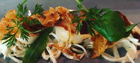Paddock & Vine - Surfers Gold Coast 1