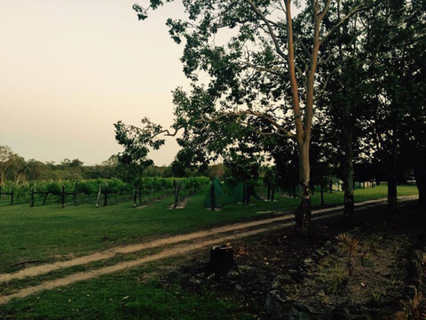 Brierley Wines - Surfers Gold Coast 0