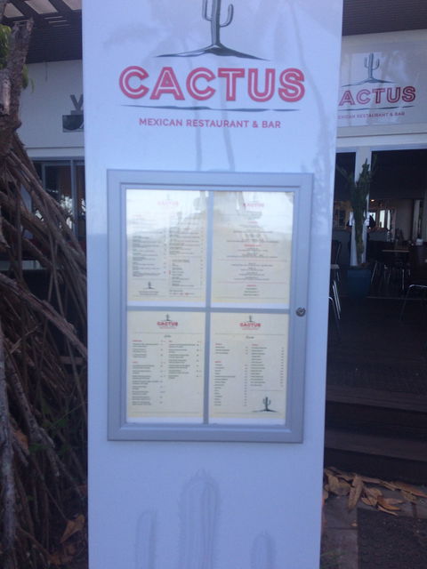 Cactus - Surfers Gold Coast 3