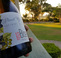 Zesty Edibles - Surfers Gold Coast
