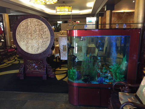 Dragon Palace - Surfers Gold Coast 4