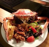 Safari Club Bar  Grill - Surfers Gold Coast
