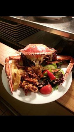 Safari Club Bar & Grill - Surfers Gold Coast 0