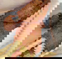 KFC - Surfers Gold Coast