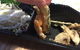 Bento Kingston - thumb 0