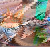 Nando's Ellenbrook - Surfers Gold Coast