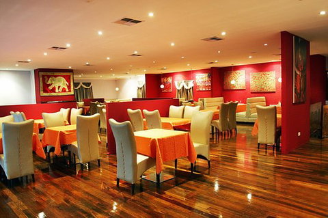 Yogi - Surfers Gold Coast 0