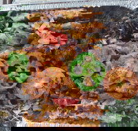 Cairo Cafe - Surfers Gold Coast