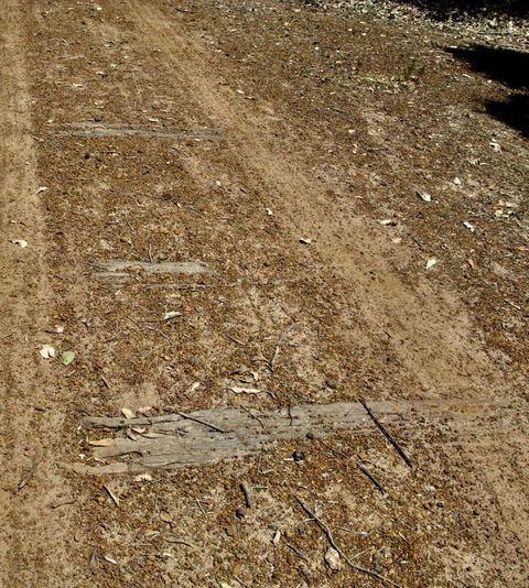 Cowaramup Bakery - Surfers Gold Coast 3