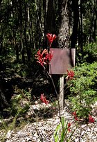 Cowaramup Bakery - Surfers Gold Coast 6
