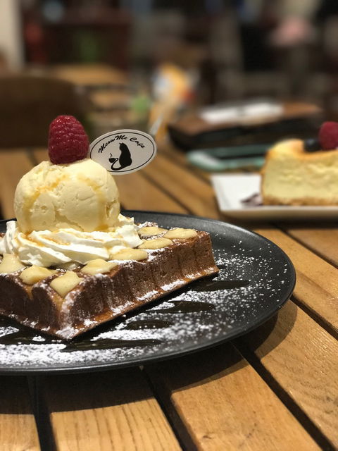 MeowMe Cafe - Surfers Gold Coast 1