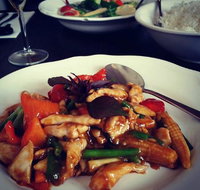 Urban Duck - Surfers Gold Coast