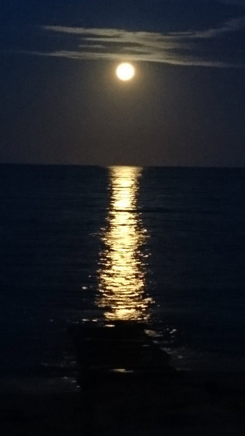 Grosvenor Hotel - Surfers Gold Coast 1