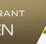 No.301 Restaurant - Surfers Gold Coast