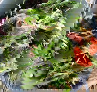 The Spun Yarn Cafe - Surfers Gold Coast