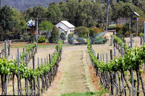 Prendergasts Irish Tavern - Surfers Gold Coast 0