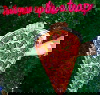 Old School Pizza  Stonegrill - Surfers Gold Coast