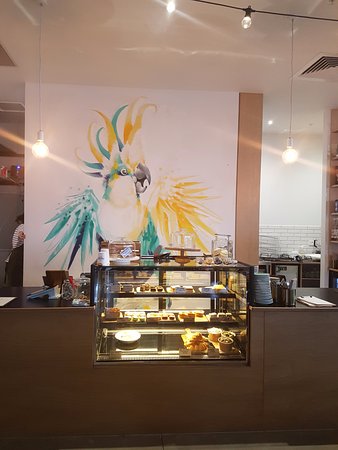 Armstrong Creek ACT Surfers Gold Coast