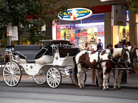 Mercure Melbourne Therry St - Surfers Gold Coast 16