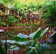 Daintree Eco Lodge  Spa - Surfers Gold Coast
