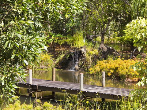 Cedar Park Rainforest Resort - Surfers Gold Coast 0