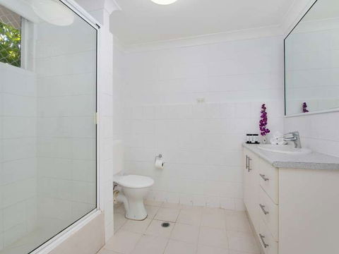 Cairns City Palms - Surfers Gold Coast 1