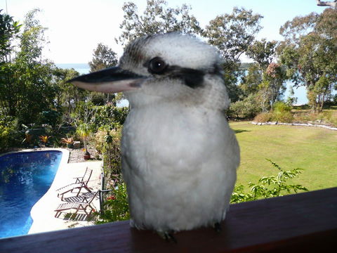 Yarrandabbi Dreaming Boutique B&B - Surfers Gold Coast 2