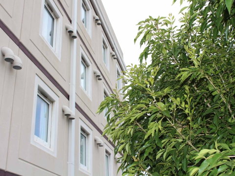 Ibis Newcastle - Surfers Gold Coast 1