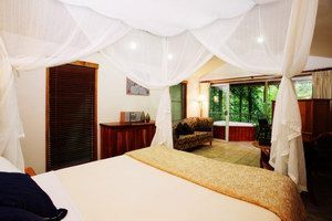 Daintree Eco Lodge & Spa - Surfers Gold Coast 1