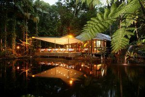 Daintree Eco Lodge & Spa - Surfers Gold Coast 2