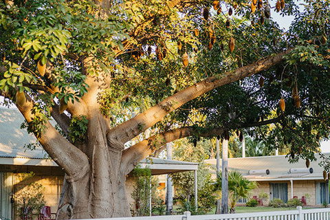Kimberley Grande Resort & Conf Ctr - Surfers Gold Coast 0