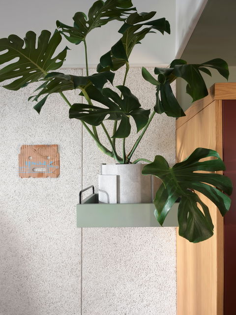 ACE Hotel Sydney - Surfers Gold Coast 0