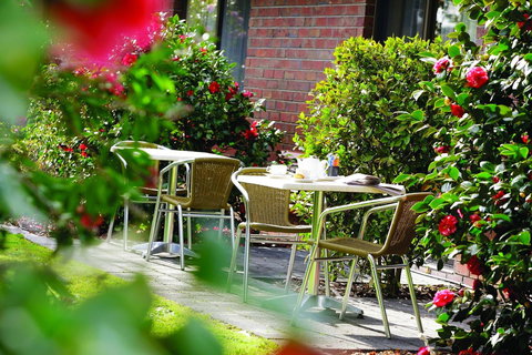 Hotel Bruce County - Surfers Gold Coast 2