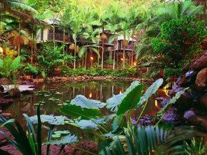 Daintree Eco Lodge & Spa - Surfers Gold Coast 0