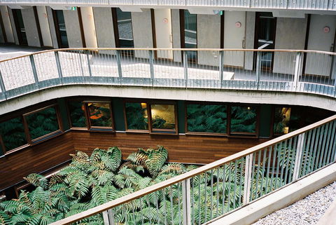 Ovolo Nishi - Surfers Gold Coast 37