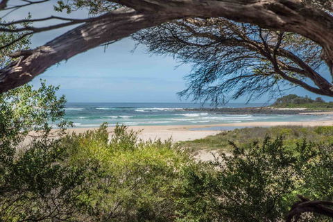 BIG4 Tasman Holiday Parks - Racecourse Beach - Surfers Gold Coast 7