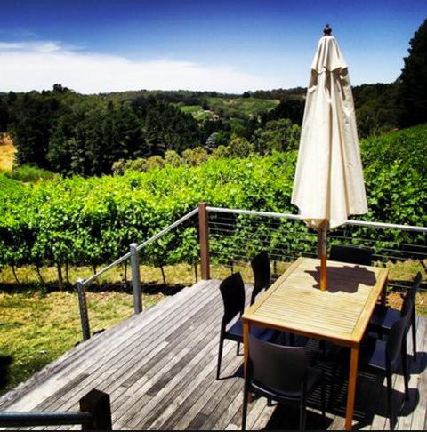Monaco Court Apartment Adelaide - Surfers Gold Coast 27