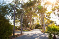 Book Tumby Bay Accommodation Vacations Surfers Gold Coast Surfers Gold Coast