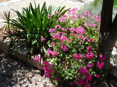 Country Bakehouse Accommodation - Surfers Gold Coast 18