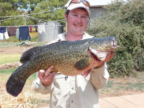 Country Bakehouse Accommodation - Surfers Gold Coast 20