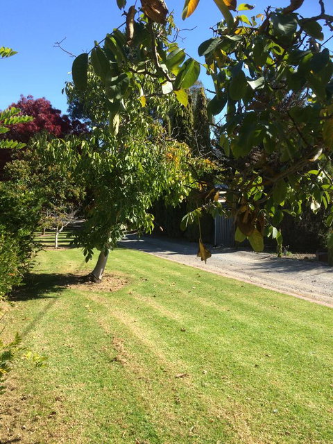 Vineyard Cottage BnB - Surfers Gold Coast 17