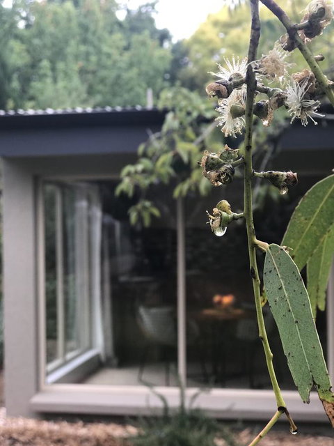 Adelaide Hills Retreats - Surfers Gold Coast 9