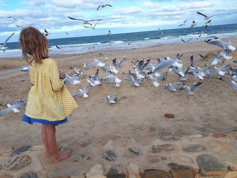 Moana Beach Tourist Park - Surfers Gold Coast 9